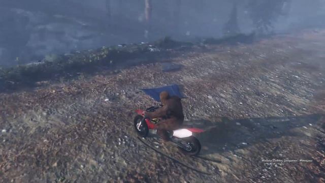 7 ЗОЛОТЫХ ЛОФОФОР В GTA 5 смотреть онлайн