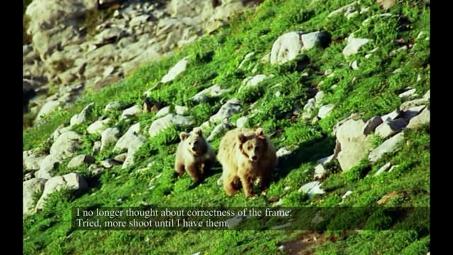 Одинокий странник