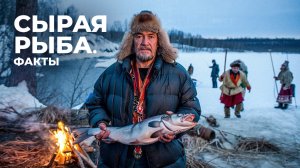 Почему на Севере едят сырую рыбу и не боятся описторхоза