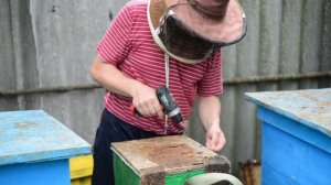 О роеловстве 2024