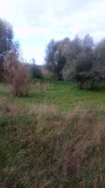 бесплатные дрова как взять  секрет черных лесорубов