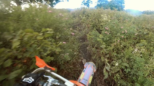 Арсенька после дождя 
#эндуроВрангель