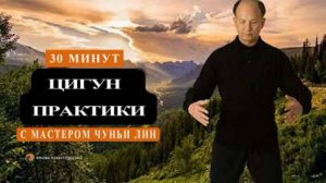 Ци10-04 Четверг с основателем школы Chunyi Lin. Цигун Весеннего Леса (Чуньи Лин)