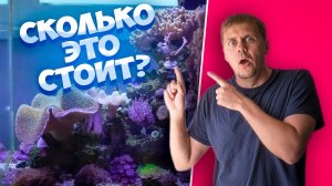 Морской аквариум реальная стоимость без иллюзий