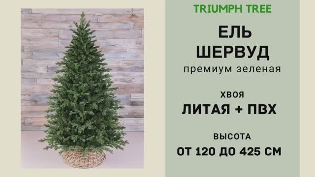 Triumph Tree - ОБЗОР искусственной ели Шервуд премиум зеленая смотреть онлайн