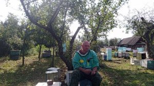 пчеломатки ИО на 2026г