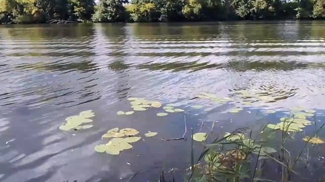 ЛУЧШЕЕ ВРЕМЯ ДЛЯ УВОЛЬНЕНИЯ