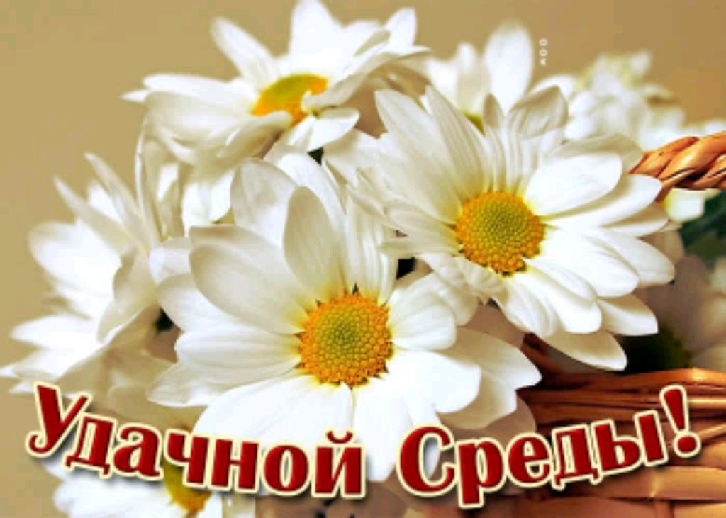 всем привет 👋 смотреть онлайн