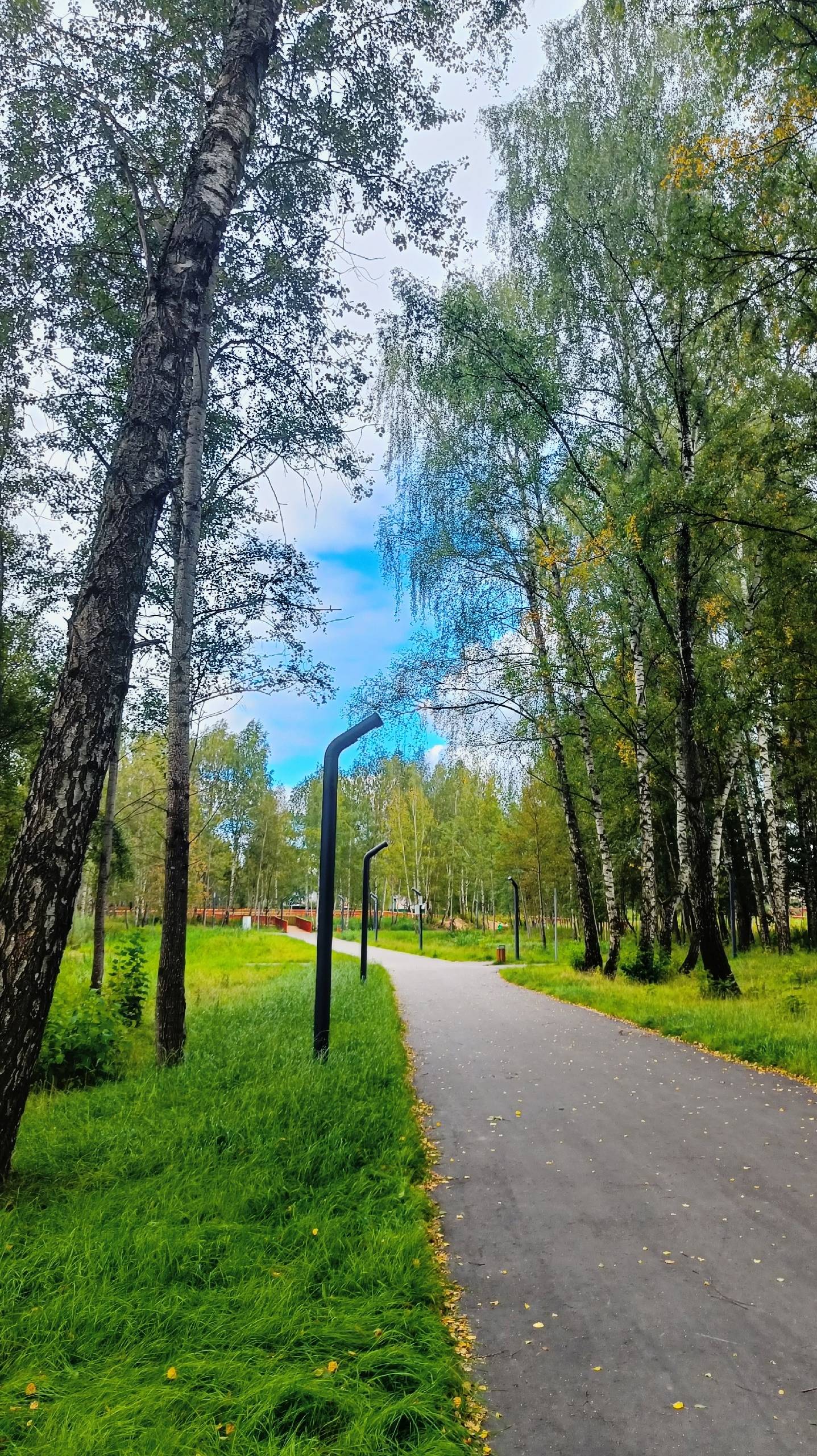 Осень в Подмосковье. Сентябрь 2025 смотреть онлайн