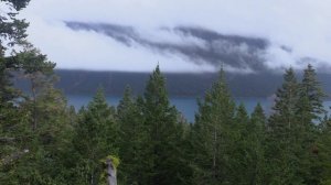 В изоляции 8 сезон 5 серия «Олень» (документальный сериал, 2021)