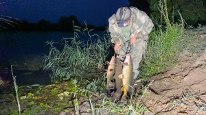 НАЖИВКА У ВСЕХ ПОД НОСОМ! НЕ ПОНИМАЮ, ПОЧЕМУ ТАК НИКТО НЕ ЛОВИТ САЗАНА? Ночная рыбалка на ракушку.