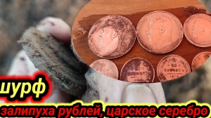 шурф на распашке, царское серебро