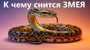 К чему снится Змея. Питон.