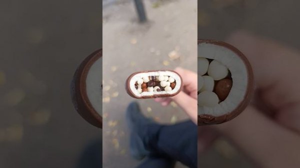 пробуем мороженное с шариками 2 часть