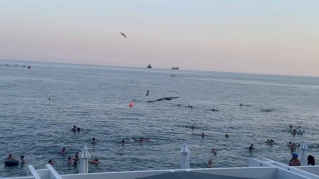 Ялта. Таврида пляж смотреть онлайн