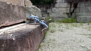 Робособака модель А2 Unitree