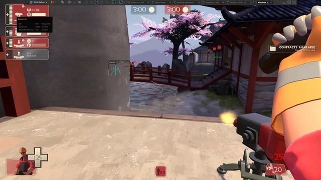 TF2 Amalgam AFK Bots