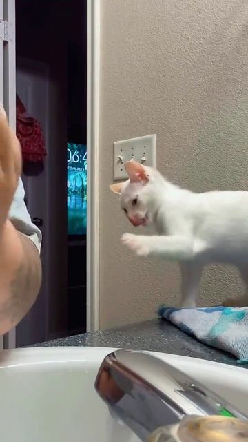 Ммм, какой вкусный переход