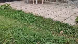 Колея от авто под воротами,выход есть! Решение найдено!