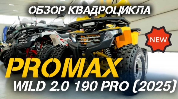 🚀 Новый PROMAX WILD 2.0 190 PRO (2025) – квадроцикл для драйва и приключений в магазинах X-MOTORS!