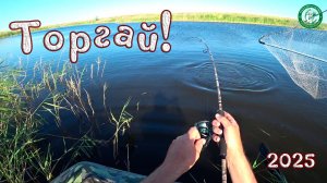 ТОРГАЙ 2025! СПИННИНГ ЗВЕНИТ, ФРИКЦИОН ПОЁТ, ХОРОШИЕ ЩУКИ, ЗАЧЕТНЫЕ ОКУНИ, РЫБАЛКА В КАЗАХСТАНЕ!