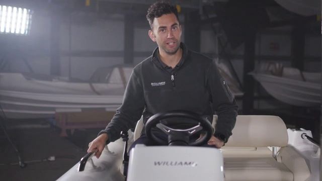 Williams 395 обзор