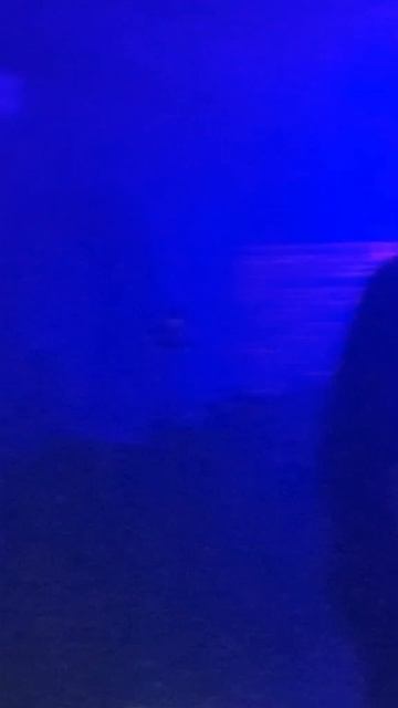 Смотри полностью у меня на канале