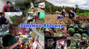 Заготовки на зиму или «как потопаешь, так и полопаешь»