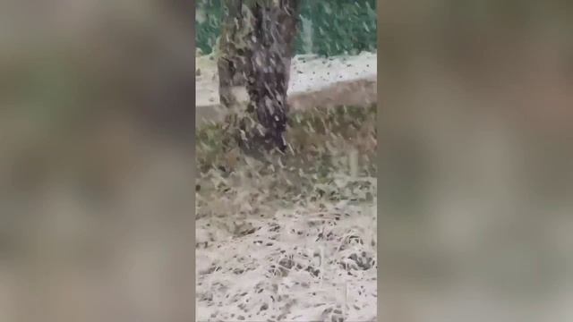 Снег на Семинском перевале смотреть онлайн