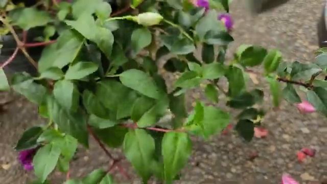 1🐞🐞🐞🐞 смотреть онлайн