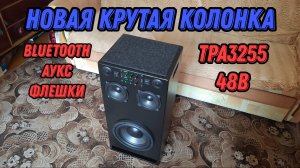Новая колонка с сабвуфером 10 дюймов на TPA3255 48В 2.1 новинка 2025