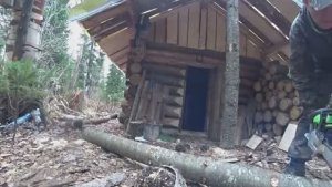 ИЗБА С КОМФОРТОМ, ХОТЬ И БЕЗ ПЕЧКИ. ОДИН В ТАЙГЕ. ГОТОВЛЮ ЗИМОВЬЕ К ЗИМЕ.