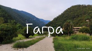 Гагрские зарисовки. Рубрика "Чё купила"