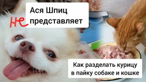 Чем кормить шпица. Натуральный рацион для мелких собак. Разделка курицы в пайку