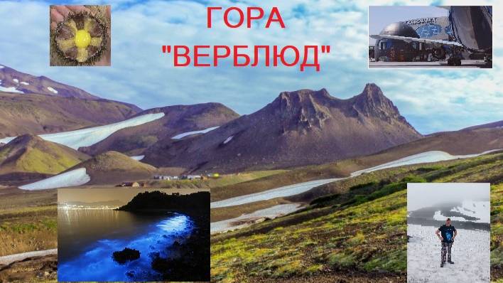 Гора Верблюд 1300 м.,  Землетрясение в 7,8 б. .Камчатка 27.07.25. Часть 6😀✌👌💯💢💥💣🇷🇺🇷🇺 🇷🇺