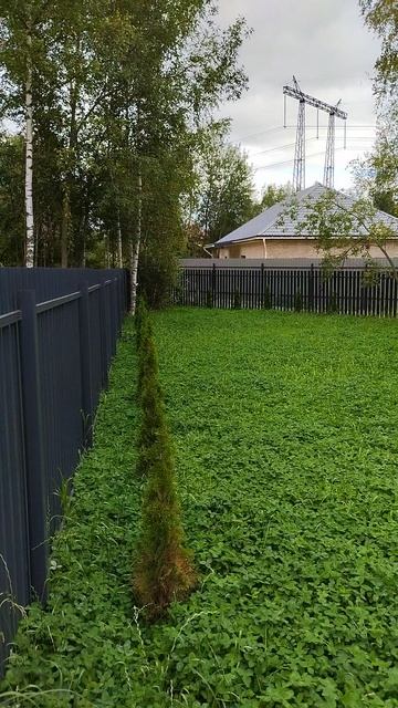 дом Витинево