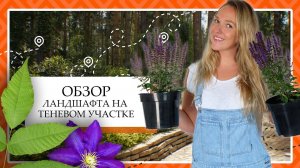 Обзор дизайна теневого садового участка на Урале в лесном массиве