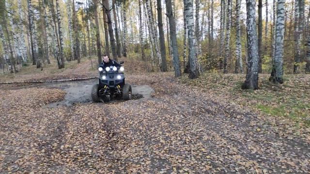 Квадроцикл Tiger(Тайгер) 250! Sport БОМБА!!!! смотреть онлайн