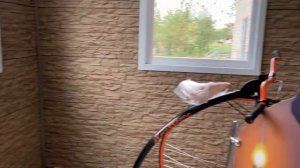 Музей нефти в Татарстане,экскурсия обзор