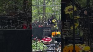 Подсолнухи в день смерти на могилу Игоря Сорина | Кузьминское кладбище 4.09.2025 #игорьсорин