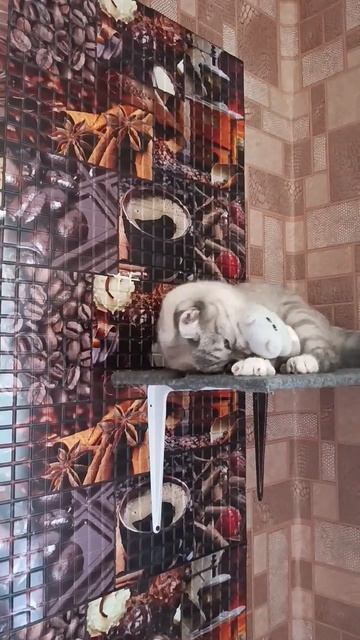 16 мая 2025 г. смотреть онлайн