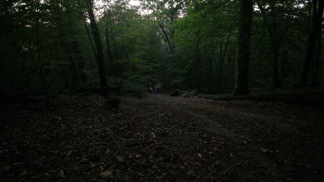 DJI_0088 смотреть онлайн