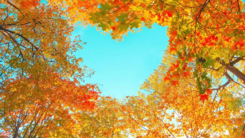 Очей очарованье