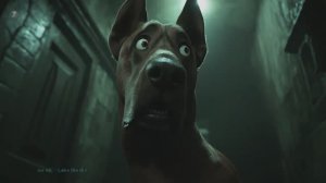 Ice MC - Laika (Bo dj remix)