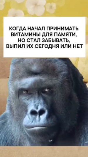 Выпил или нет?