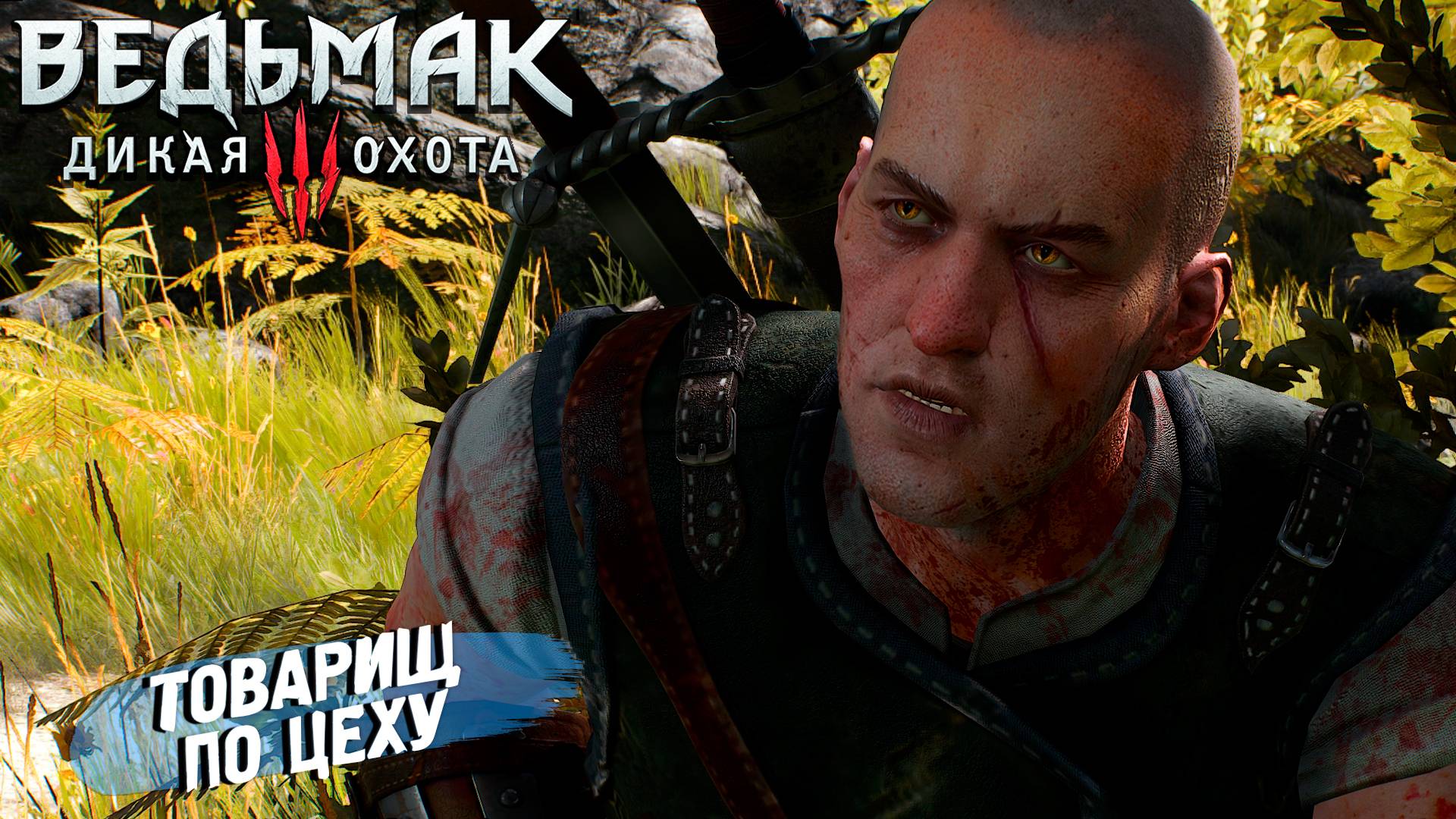 ТОВАРИЩ ПО ЦЕХУ ➤ Ведьмак 3 Дикая Охота #16