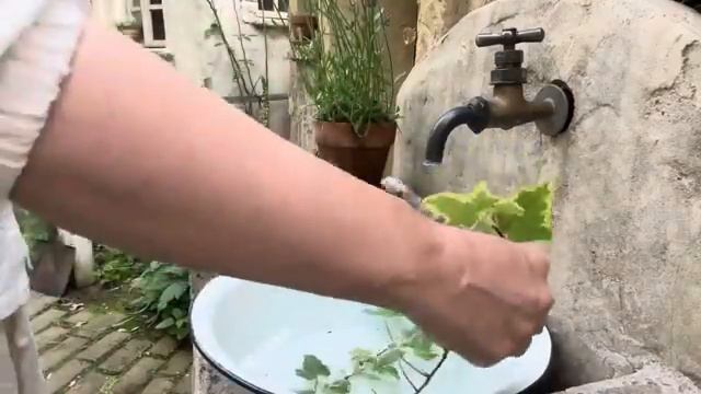 🐞🐞🐞🐞 смотреть онлайн