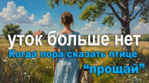 Почему я решила оставить птицеводство. Мой путь к перезагрузке, фермерский отпуск.