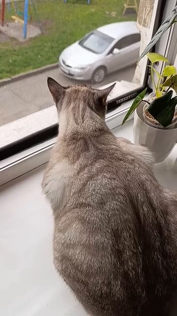 16 мая 2025 г. смотреть онлайн