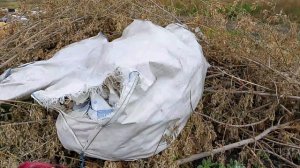 Находки Удивили на Свалке